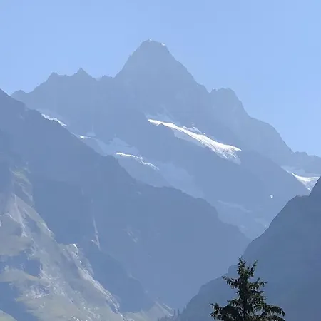 Swissalp Flitterwochen, Auszeit, Erholung * Grindelwald