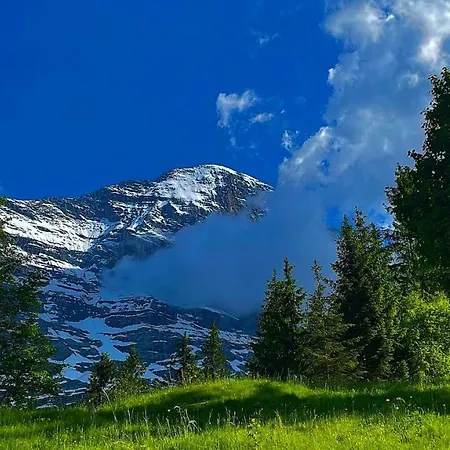 Swissalp Flitterwochen, Auszeit, Erholung * グリンデルヴァルト