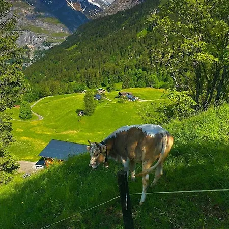 Swissalp Flitterwochen, Auszeit, Erholung Lägenhet *