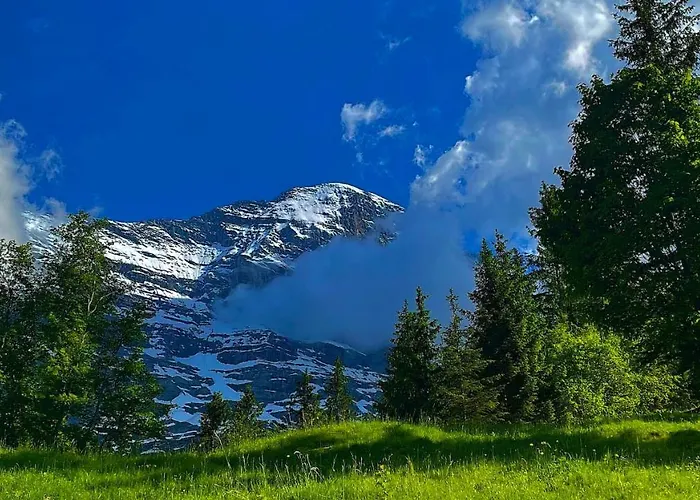 Swissalp Flitterwochen, Auszeit, Erholung * グリンデルヴァルト