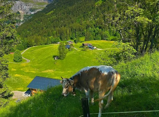 Swissalp Flitterwochen, Auszeit, Erholung アパート *